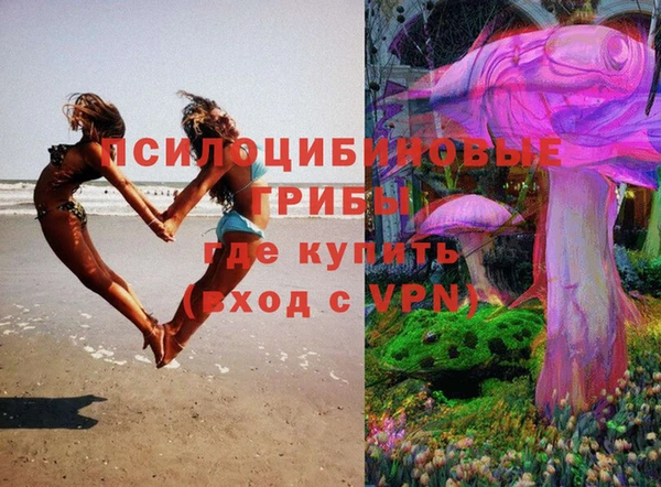 spice Дмитриев
