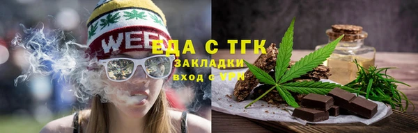 spice Дмитриев