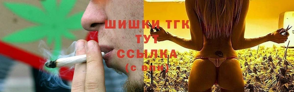 прущие грибы Дмитровск