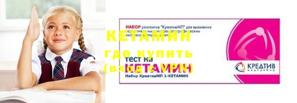 spice Дмитриев