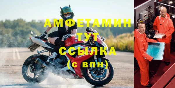 прущие грибы Дмитровск