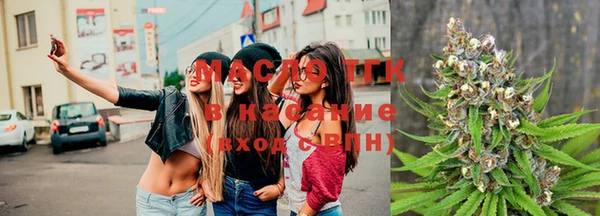 прущие грибы Дмитровск