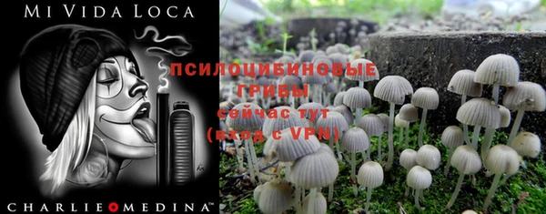 гашишное масло Дмитров