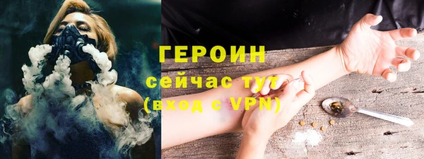 spice Дмитриев