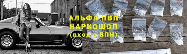 spice Дмитриев
