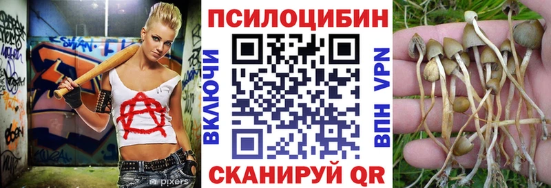 Купить  Кореновск  Псилоцибиновые грибы Magic Shrooms 